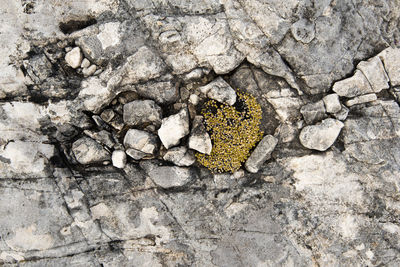 High angle view of stones