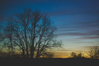 Silhouette of bare trees against sky at sunset