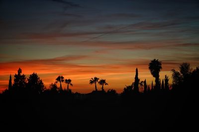 Silhouette trees against sky during sunset