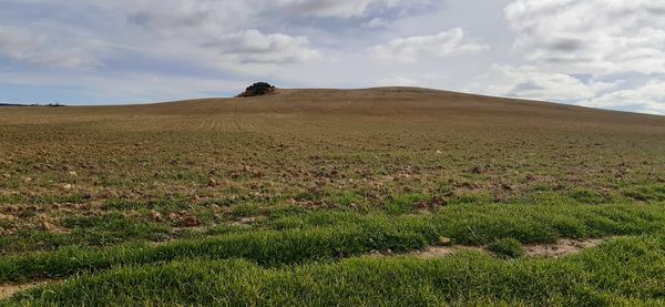 Scenic view of land against sky