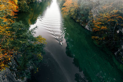 High angle view of horse on river amidst trees