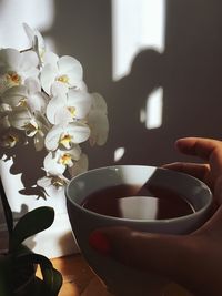 Close-up of hand holding flower vase