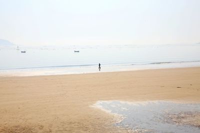 Scenic view of beach