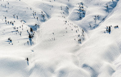 Panoramic view of people on snow covered mountain