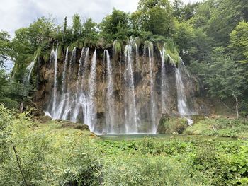 Scenic view of waterfall in forest