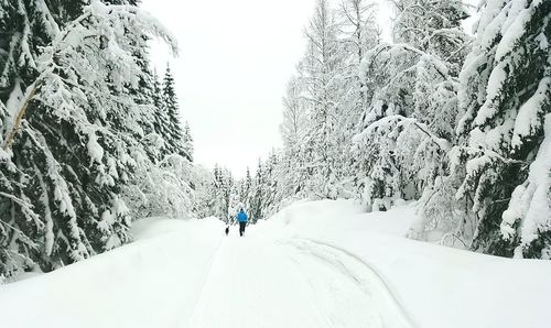 Man walking on snow covered road amidst trees