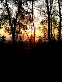 Silhouette trees against sky during sunset