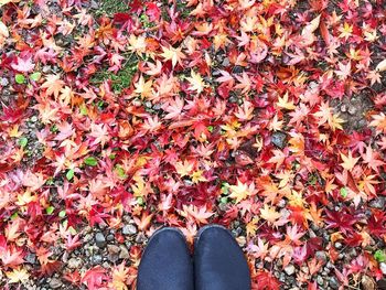 Low section of person standing on autumn leaves