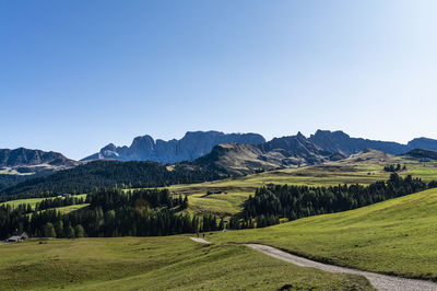 Scenic view of field against clear sky