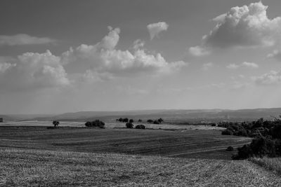 Scenic view of agricultural field against sky