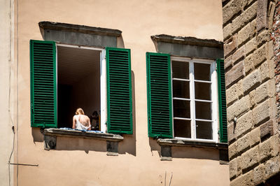 Cat on window of building