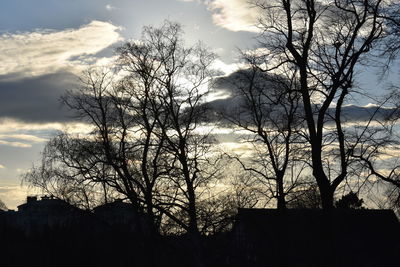 Low angle view of silhouette bare trees against sky at sunset