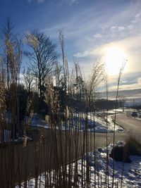 Scenic view of lake against sky during winter