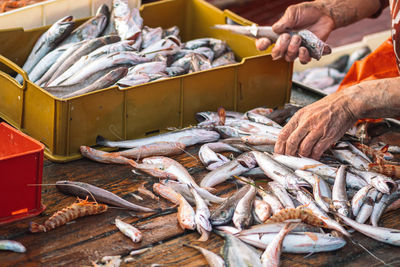 fish