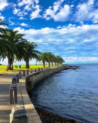 Scenic view of palm trees by sea against sky