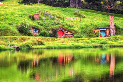 Scenic view of grassy field