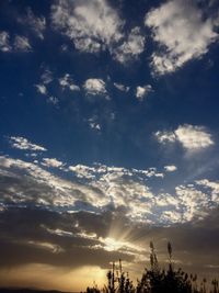 Low angle view of trees against cloudy sky