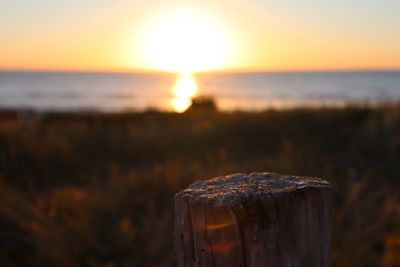 Close-up of wooden post on sea during sunset