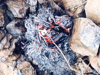 High angle view of firewood on wood