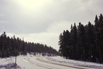 Road amidst trees against sky during winter