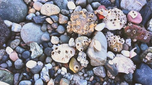 Full frame shot of pebbles on beach