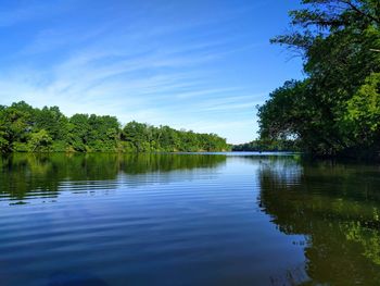 Scenic view of river in forest against blue sky