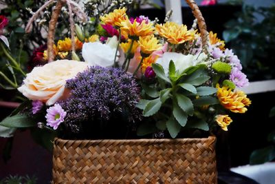 Close-up of multi colored flowers in basket