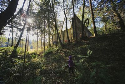 Rear view of woman walking in forest