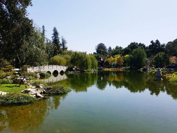 Reflection of trees in calm lake against clear sky