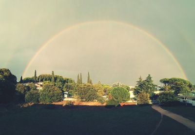 Rainbow over trees against sky