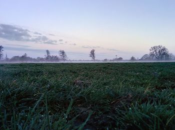 Scenic view of grassy field against sky