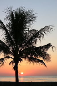 Silhouette palm tree by sea against sky during sunset