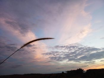 Low angle view of sky during sunset