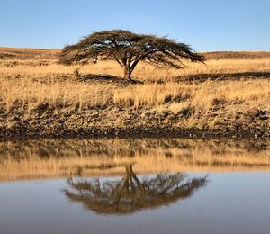 Scenic view of lake against clear sky