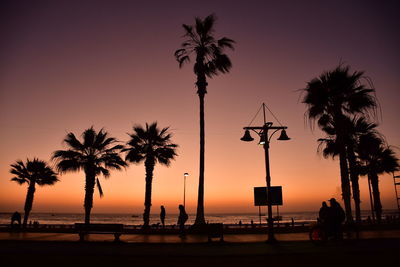 Silhouette palm trees against sky during sunset