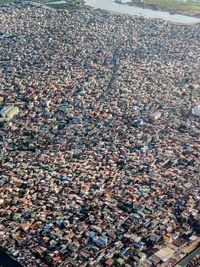 High angle view of flowers growing in city