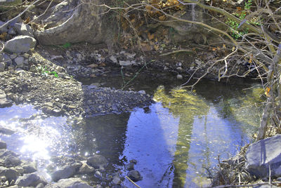 Close-up of water in lake