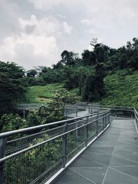 Walkway amidst plants and trees against sky