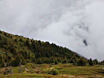 Scenic view of landscape against cloudy sky