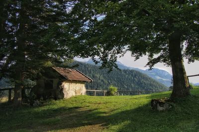 Scenic view of trees and houses on field