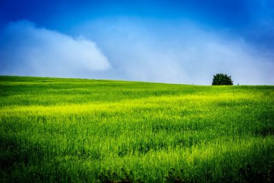 Scenic view of field against cloudy sky