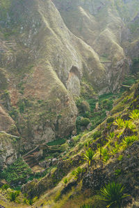 High angle view of rocks on land