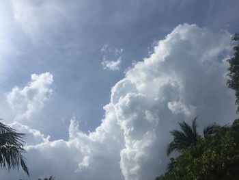 Low angle view of palm tree against sky