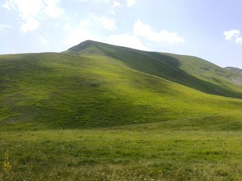 Scenic view of green landscape against sky