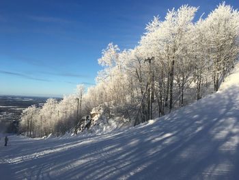 Snow covered land and trees against sky