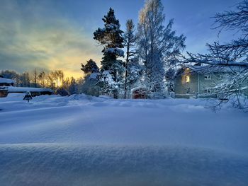 Snow covered trees and houses on field against sky