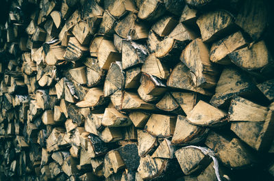 Full frame shot of logs in forest