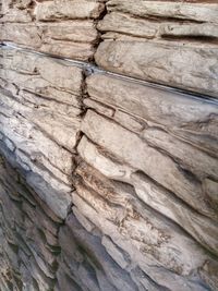 Full frame shot of wood