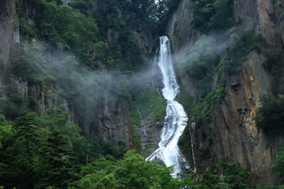 View of waterfall in forest