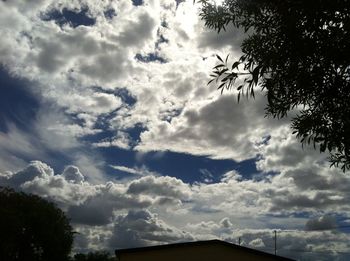 Low angle view of silhouette trees against sky